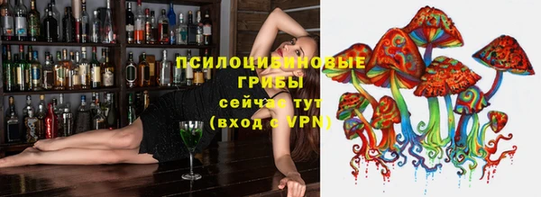 ГАЛЛЮЦИНОГЕННЫЕ ГРИБЫ Армянск