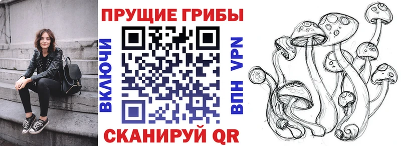 МЕГА ССЫЛКА  Сковородино  нарко площадка состав  Псилоцибиновые грибы MAGIC MUSHROOMS 